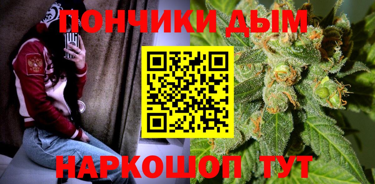 Конопля сатива Новокуйбышевск